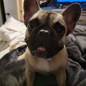 Meet your Posher, Christie